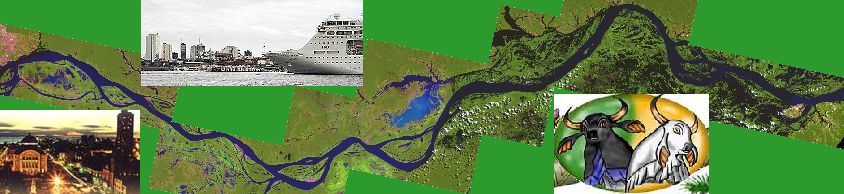 mosaique de vues satellitaires grâce au site de l'EMBRAPA; clic pour la vue sur l'île Tupinambarana