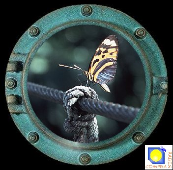 papillon