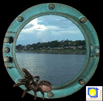 mygale maconne