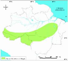 Localisation amazonienne de l'acajou