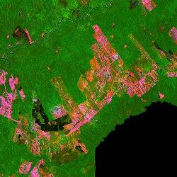 Vue satellitaire et dforestation 2