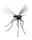 gros moustique