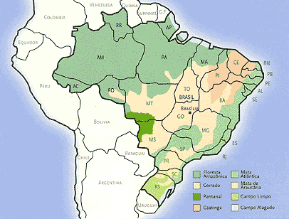 localisation du Pantanal