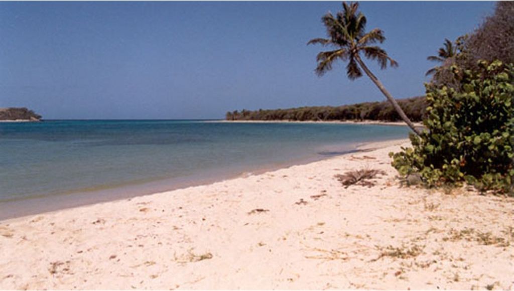 plage pleine de brésiliennes